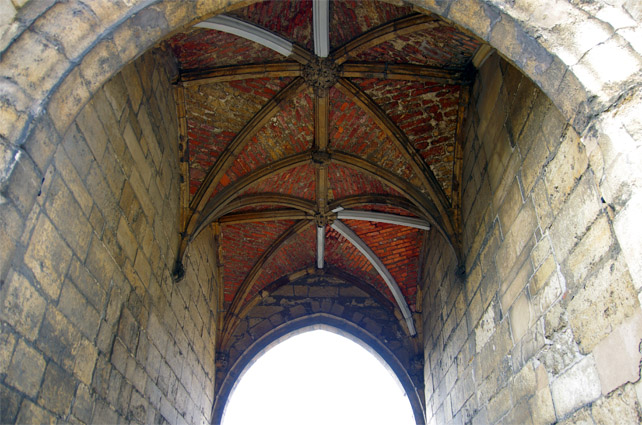 IMGP3014