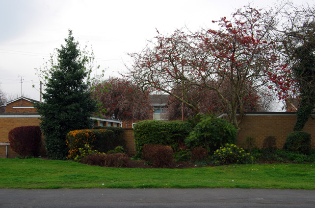 IMGP3018