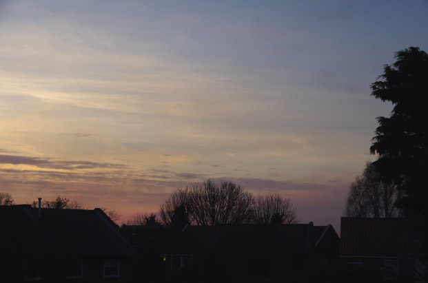 IMGP8485