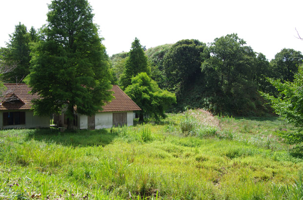 IMGP0914