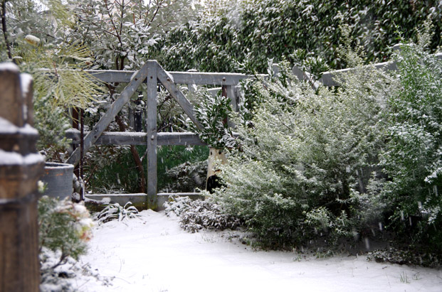 IMGP2007